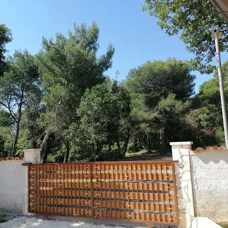 Veronika * Vinkuran
